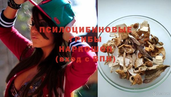 СК Аркадак