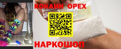 шишки Изобильный