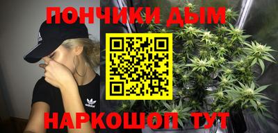 шишки Изобильный