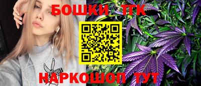 шишки Изобильный