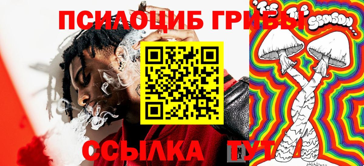 Галлюциногенные грибы GOLDEN TEACHER Пушкино