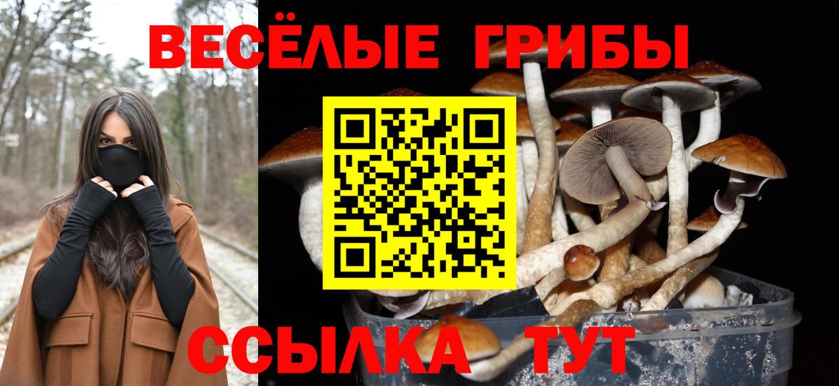 Пушкино  Псилоцибиновые грибы мухоморы  Вход с VPN 